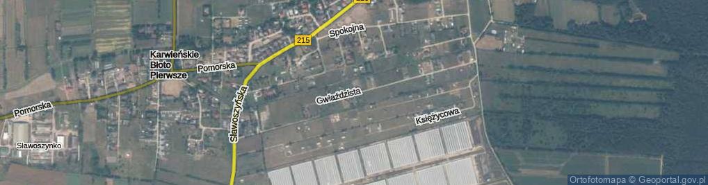 Zdjęcie satelitarne Gwiaździsta ul.